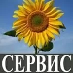 Продам порошок белой горчицы. 