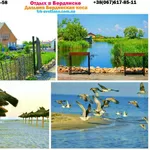 Отдых и цены Бердянская коса Гостевой дом РГК Светлана 