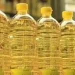 Продаж олії соняшникової,  кукурудзяної,  фритюрної оптом.