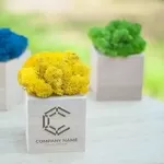 Промо-сувеніри. Кашпо зі стабілізованим мохом