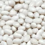 Квасоля оптом від виробника. 20 сортів в асортименті