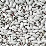 Квасоля в асортименті. Перевірені сорти