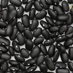 Пропонуємо квасолю у великих обсягах різних сортів.