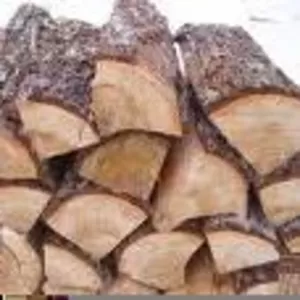Акция дрова с доставкой 6м3 = 1000грн.