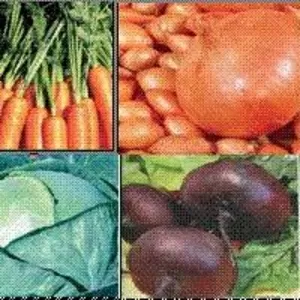 Продам овощи 2011 года