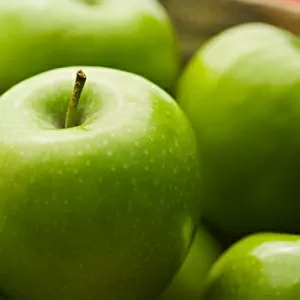 продам яблоки   урожай 2014г