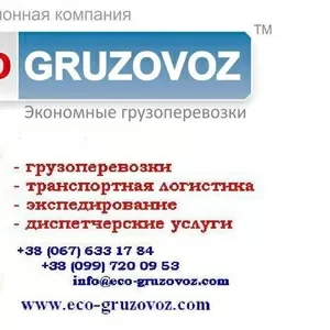 Грузовые перевозки по Украине и зарубежью,  экспедирование,  диспетчер