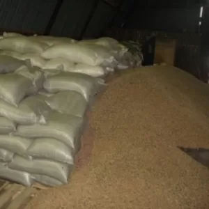 На постоянной основе закупаем отруби пшеничные