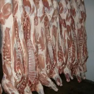 Продаем полу туши свиные (обрезная и в шкуре) 