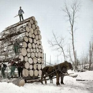 Покупаем дрова по Украине.