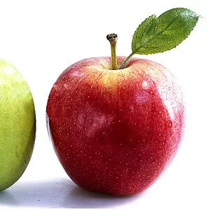 продам яблоки урожай 2016г.