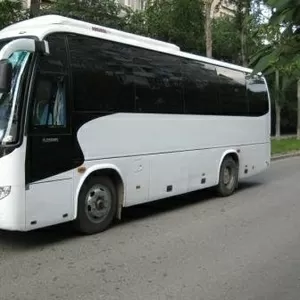 Водитель автобуса.Работа в Польше