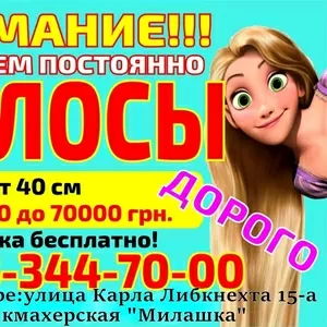 Скупка волос Днепр Покупаем волосы дорого от 40 см