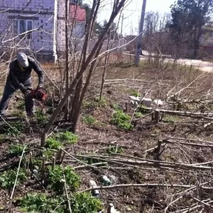 Разнорабочие -грузчики,  подсобника.Любая физическая работа.