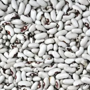 Квасоля в асортименті. Перевірені сорти