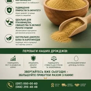 Кормові дріжджі – білково-вітамінна добавка від виробника