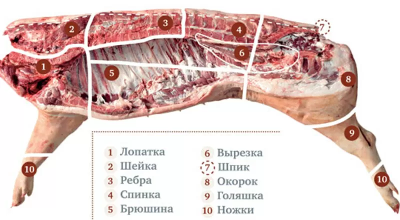 Свиная разделка с Бойни