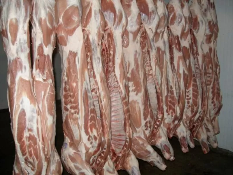 Продаем полу туши свиные (обрезная и в шкуре) 