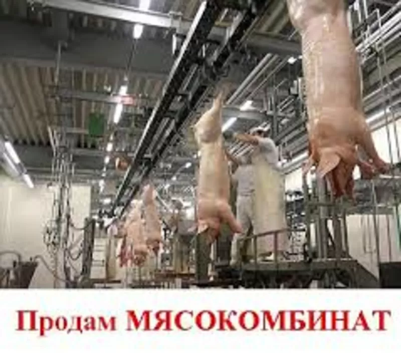 Строительство мясокомбинатов