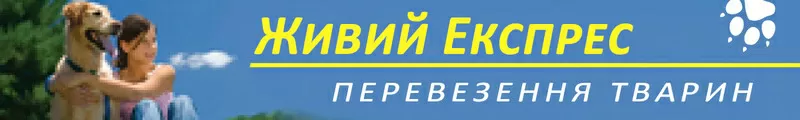 Услуги перевозки животных по Украине и за границу