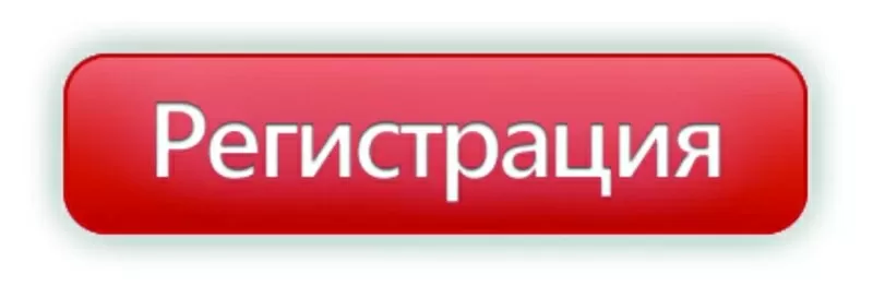 Регистрация предприятий 