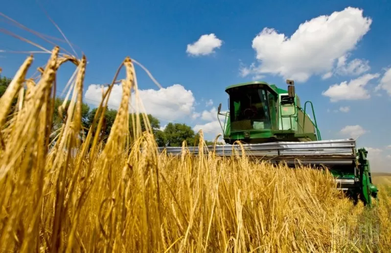  Зерно,  пшеница,  подсолнечник - фермерские хозяйства Украины 2021