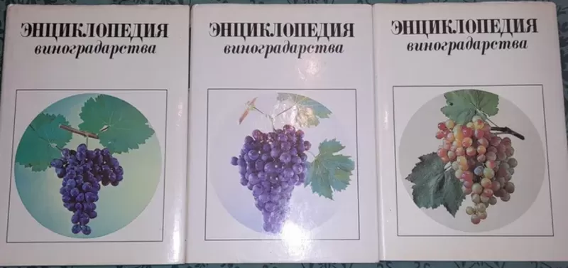 Куплю Энциклопедию виноградарства. 3 тома (в суперах)