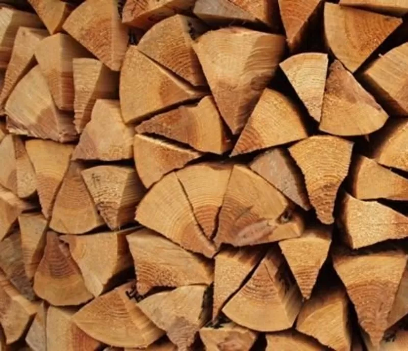Продам дрова твердих порід дерева  2