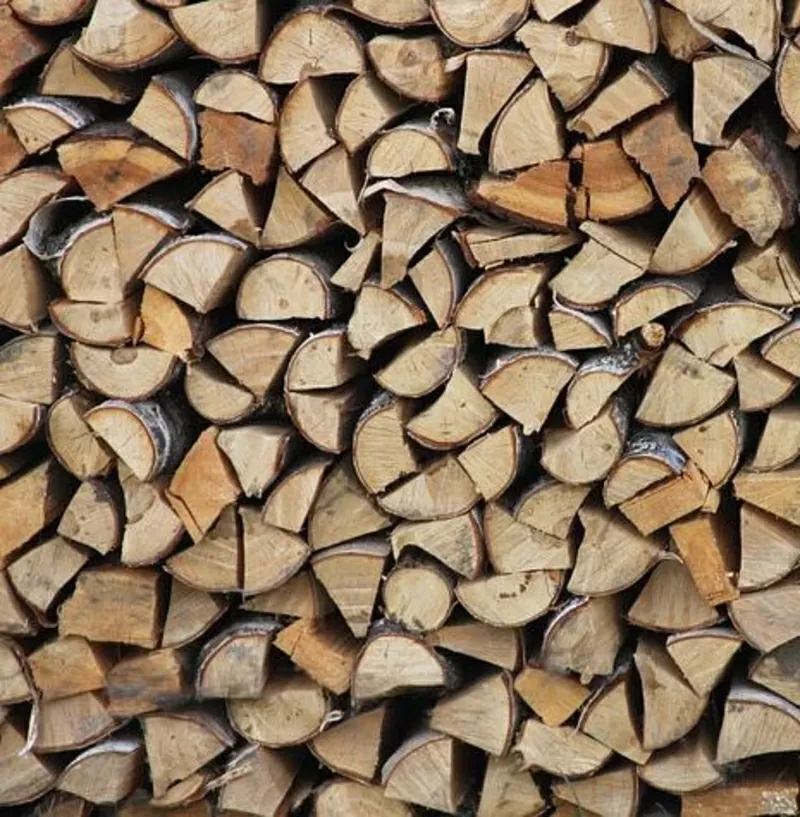 Продам дрова твердих порід дерева  3
