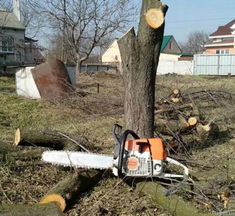 Профессиональные услуги по спилу деревьев любой сложности 2