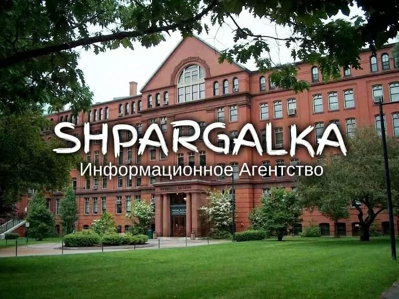 Обзор литературы для ВКР на заказ в Украине