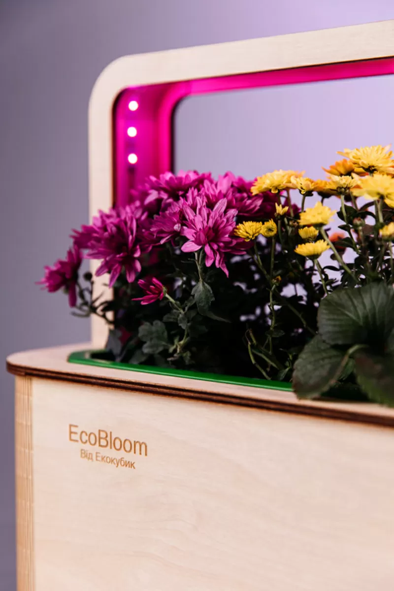 EcoBloom Smart Garden Розумний сад вдома 4