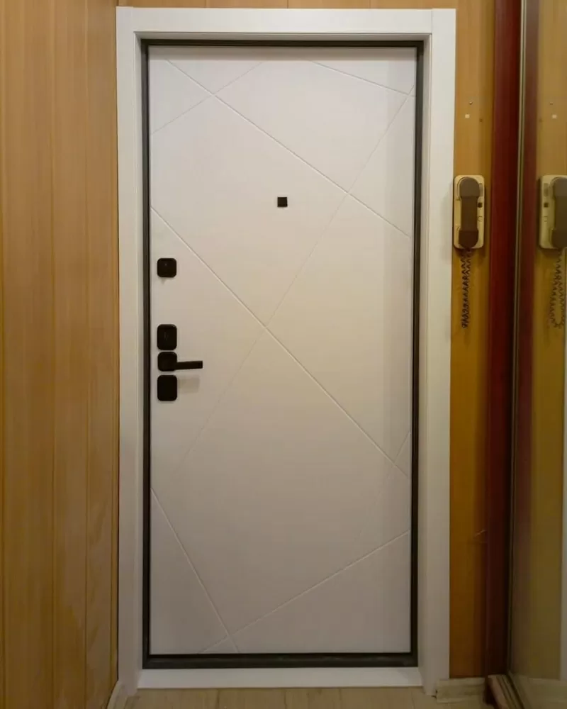 Купить двери входные Кривой Рог 2